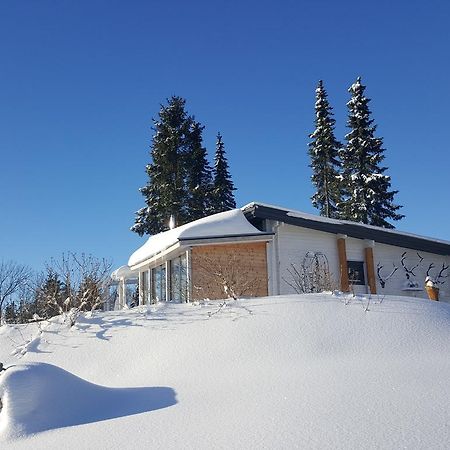 Blockhaus Kik Im Harz Villa Sankt Andreasberg Kültér fotó
